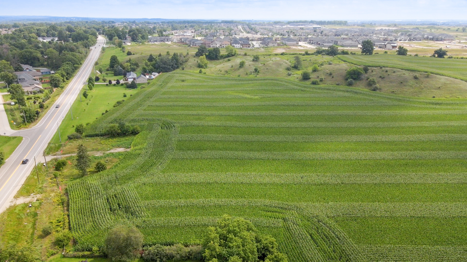 The Sifton Neighbourhood Development Process Milestones & Timeline for New Sifton Neighbourhoods