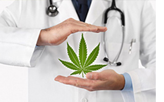 A doctor with a cannabis leaf in hand