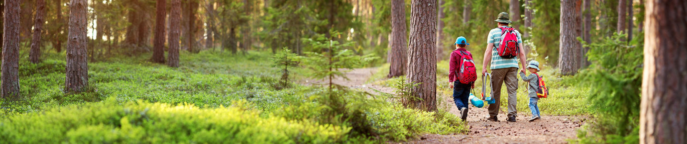 A man and two young children taking a hike through the forest