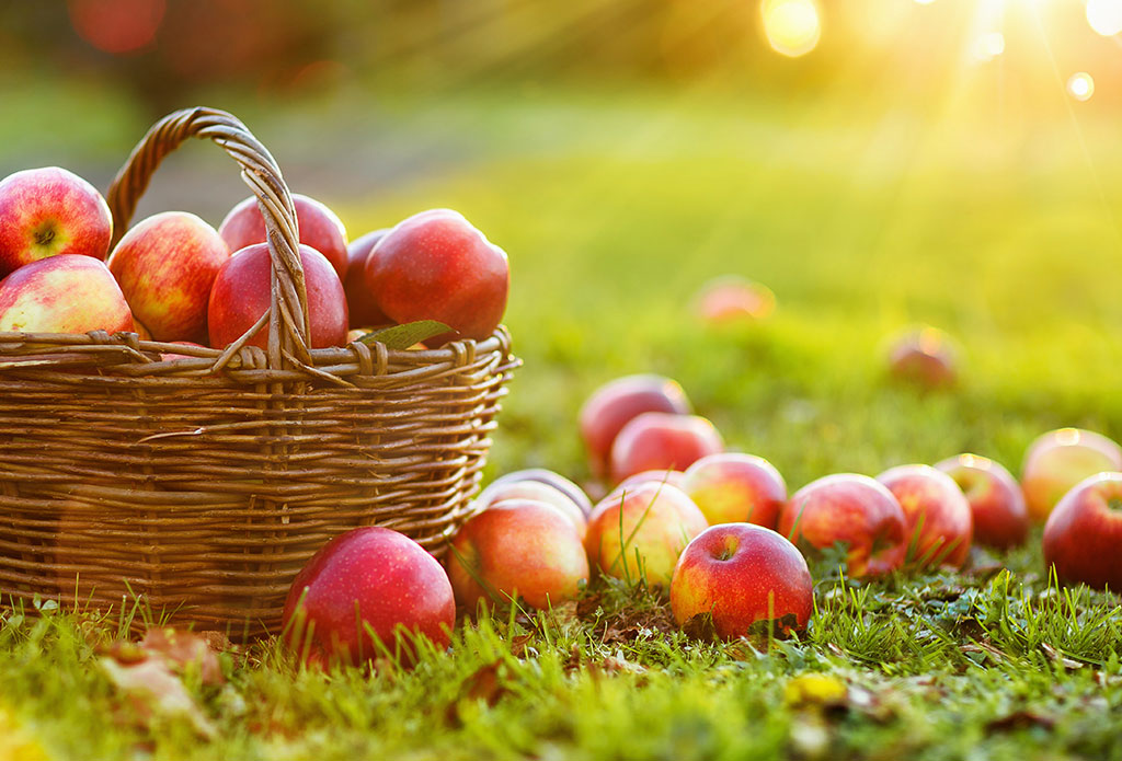 A basket of apples sitting in the grass