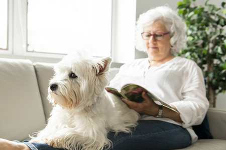 A woman relaxing on the couch, reading a magazine while her dog sits on her lap